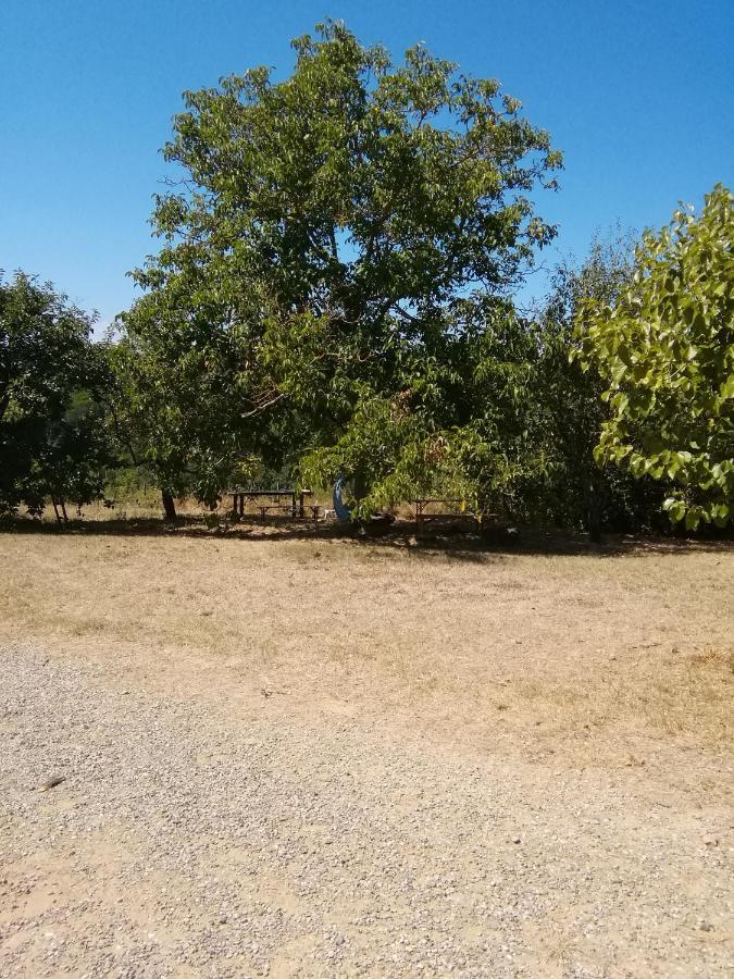 Podere Calcinaia Castelnuovo Berardenga Luaran gambar