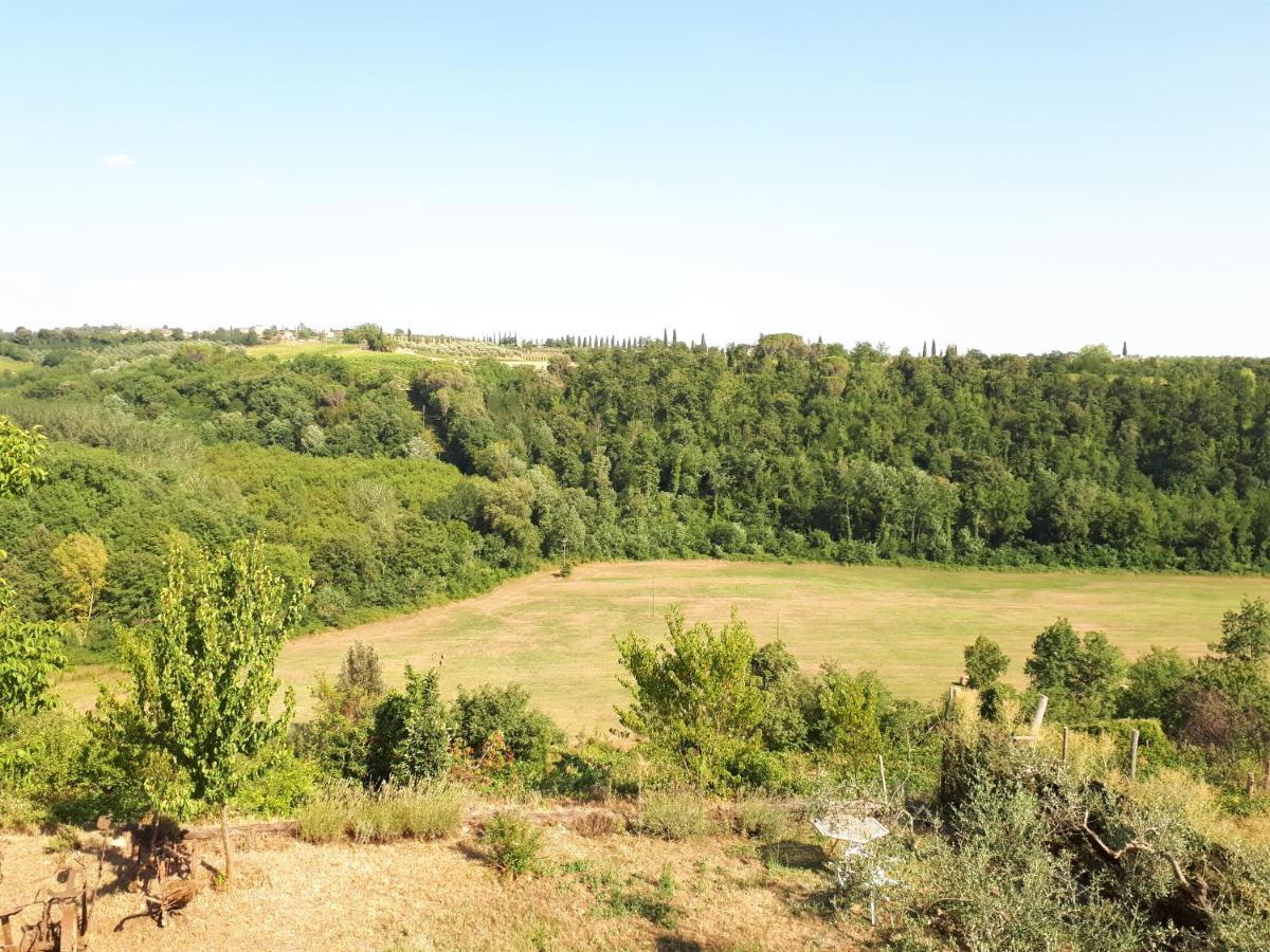 Podere Calcinaia Castelnuovo Berardenga Luaran gambar