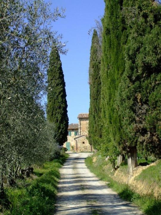 Podere Calcinaia Castelnuovo Berardenga Luaran gambar